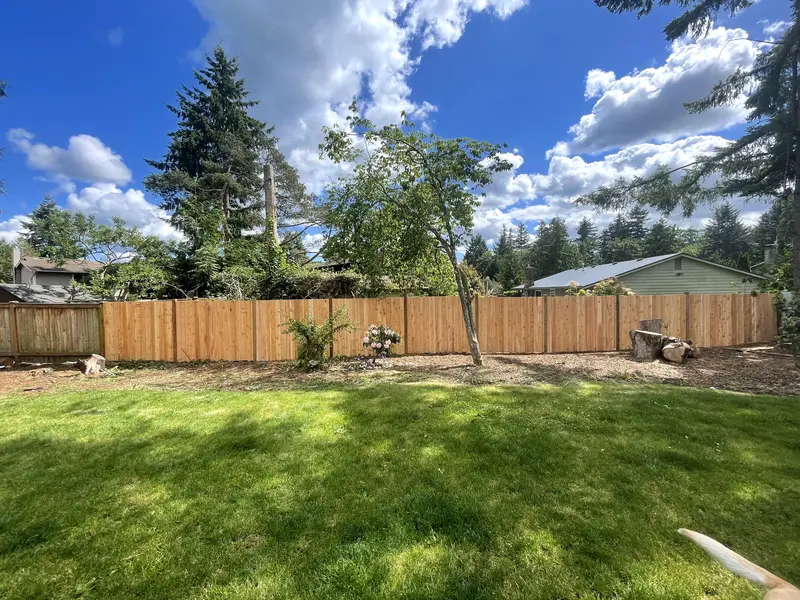 Long new cedar privacy fence across the back of a large lawn, with evergreen trees and neighboring roofs behind it