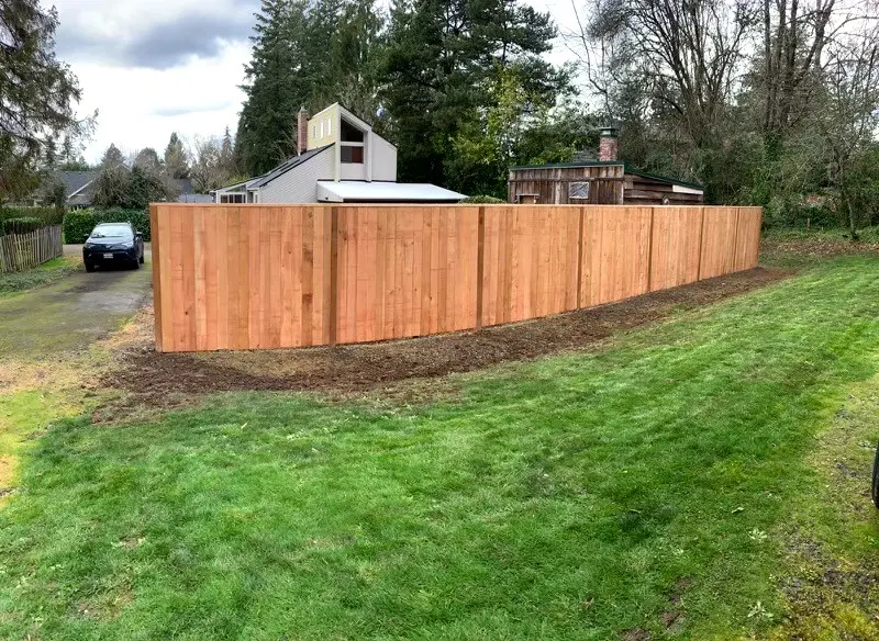 New cedar privacy fence following a curve of lawn beside a gravel driveway with a parked car