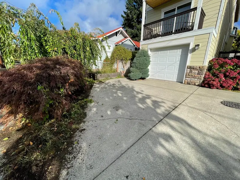 Concrete driveway beside a large red-leaf shrub and overgrown planting by the house