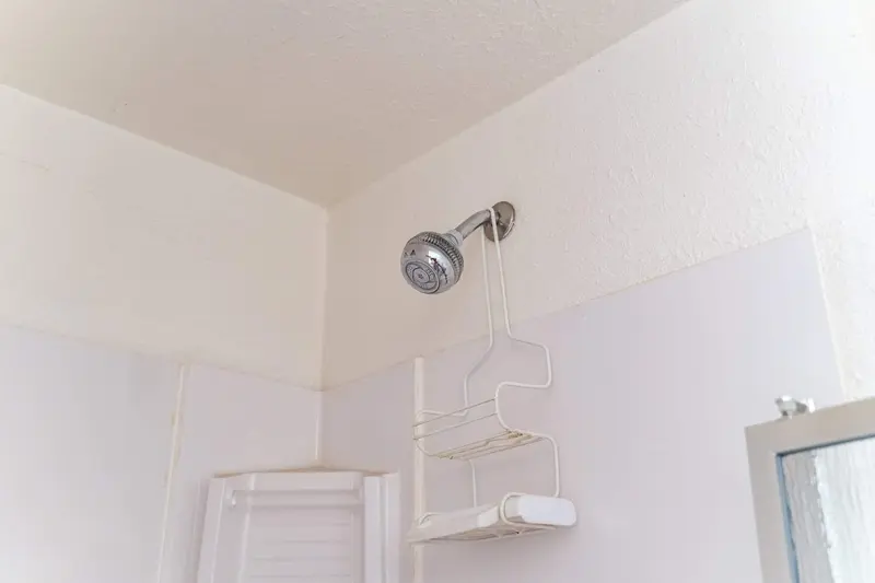 Inside the old fiberglass shower stall with a wall-mounted shower head and a corner caddy
