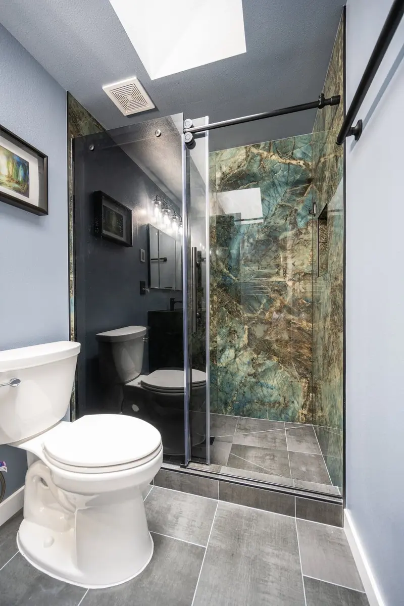 View past the toilet into the walk-in shower and its glass door, with a skylight over the shower