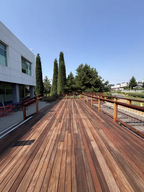 Refinished hardwood boardwalk running past an office building and a row of tall cypress trees, with wood and wire railing on the right