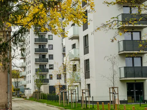 White four and five storey apartment buildings with glass and dark metal balconies, young trees staked in a lawn, a mesh fence and a quiet paved lane in autumn