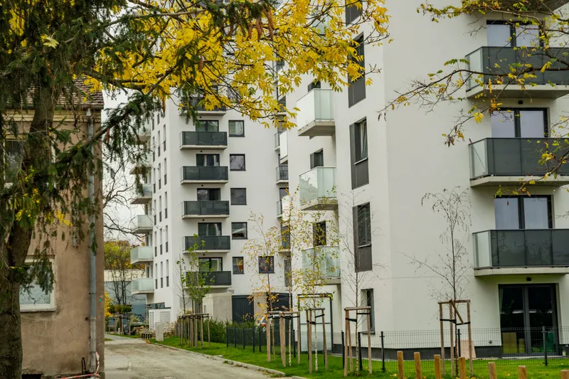 White four and five storey apartment buildings with glass and dark metal balconies, young trees staked in a lawn, a mesh fence and a quiet paved lane in autumn