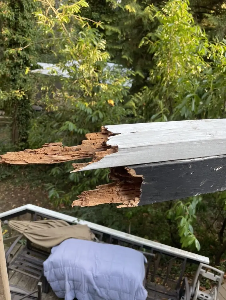 Broken rail board on the old deck with rotted wood showing through white paint