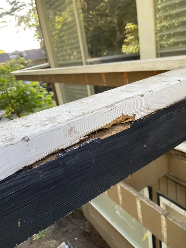 Painted beam end on the old deck with its wood rotted and crumbling