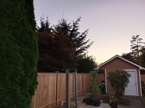 Wood privacy fence running past a small garden shed at dusk in Auburn, WA