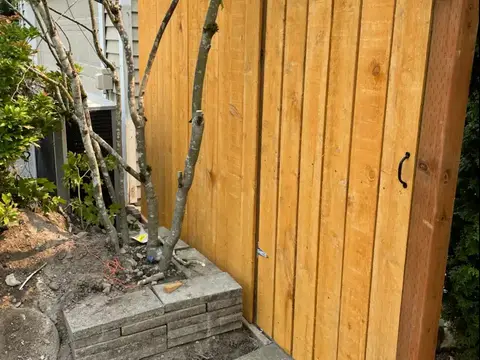 New wood gate with a black handle beside a block planter and a young tree in Redmond, WA