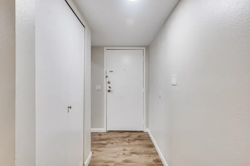 Entry hall with plank floor running from the front door past a closet