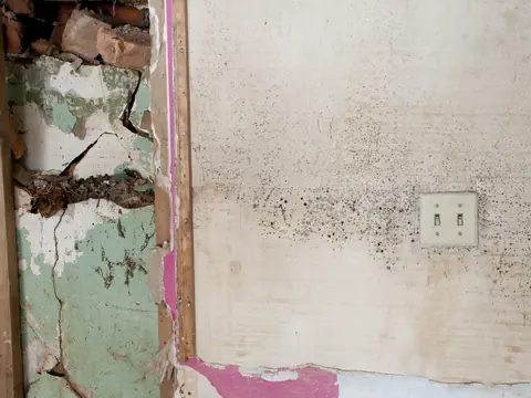 Mold spreading across a wall beside a light switch after water damage