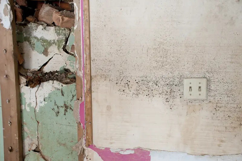Mold spreading across a wall beside a light switch after water damage