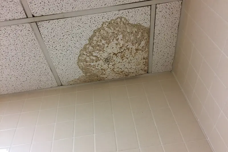 Ceiling tile stained and sagging from a leak above