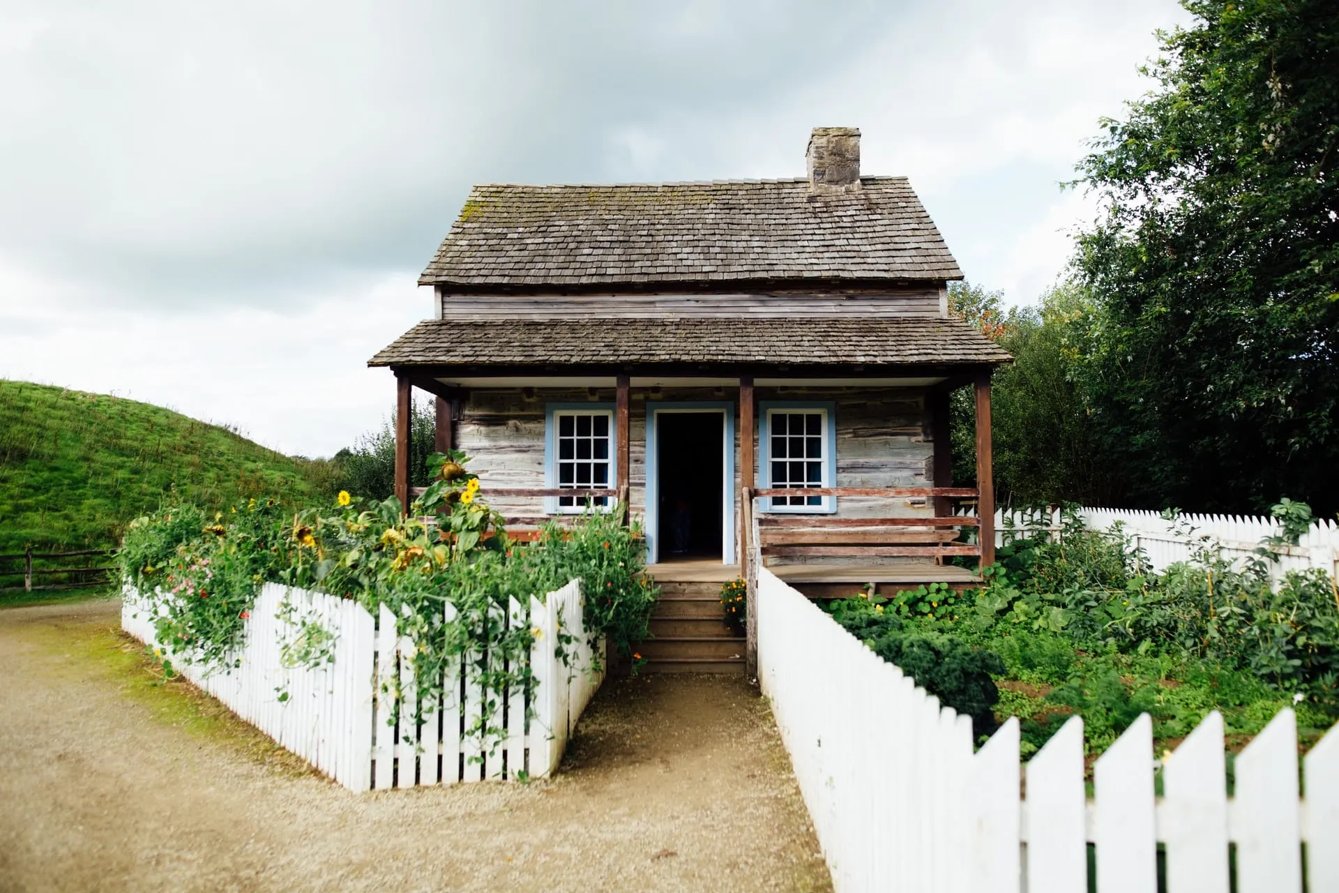 Fence Installation, Replacement and Repair Services in Washington, State