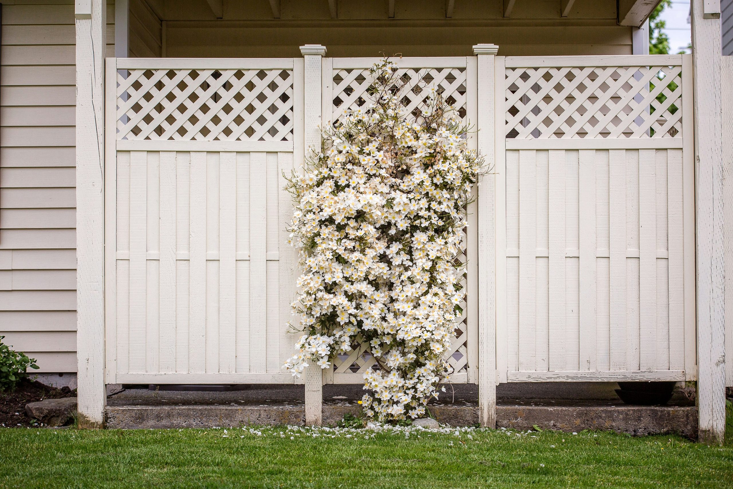 fence installation