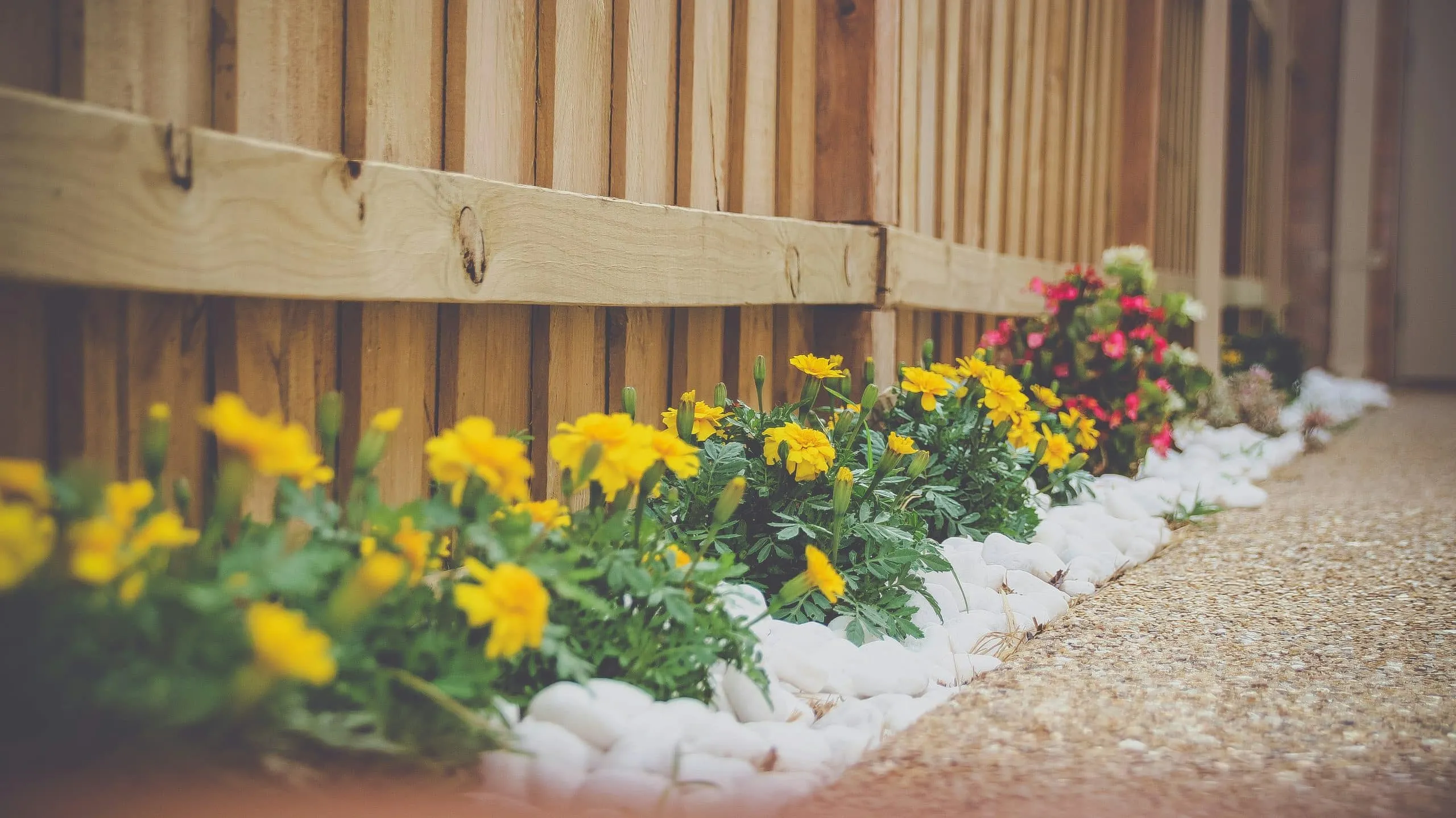 property line, outdoor space, install rails, racked fence