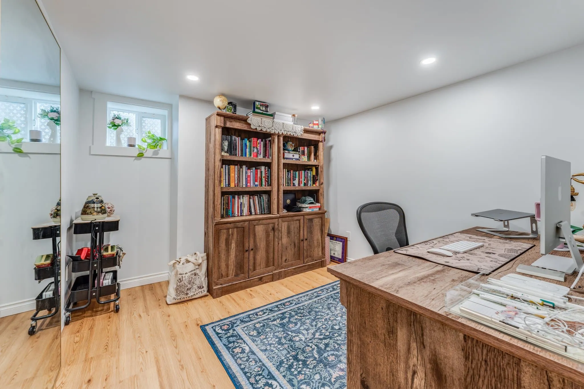 Basement Renovation Project