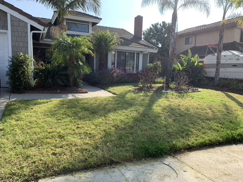 Front Yard Landscaping