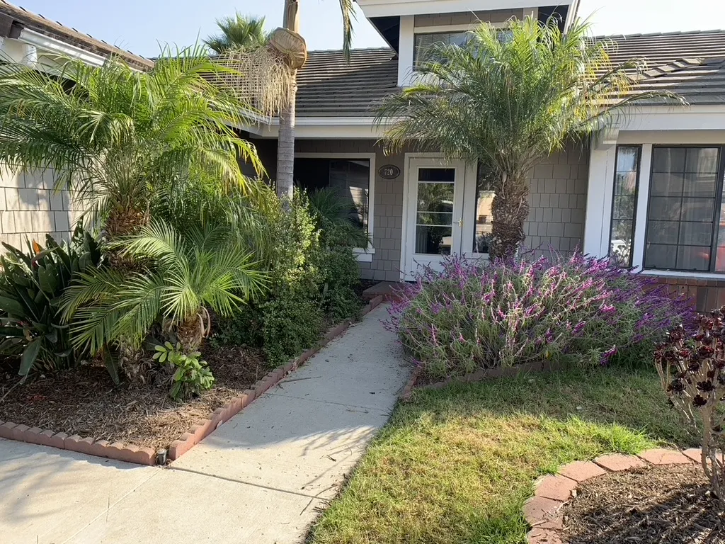 Front Yard Landscaping