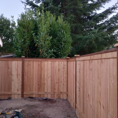 4564c151-b1e8-450e-872f-c158a492cbb4